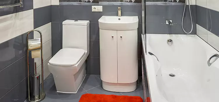 Hansgrohe Shaving Mirror Mission Viejo
